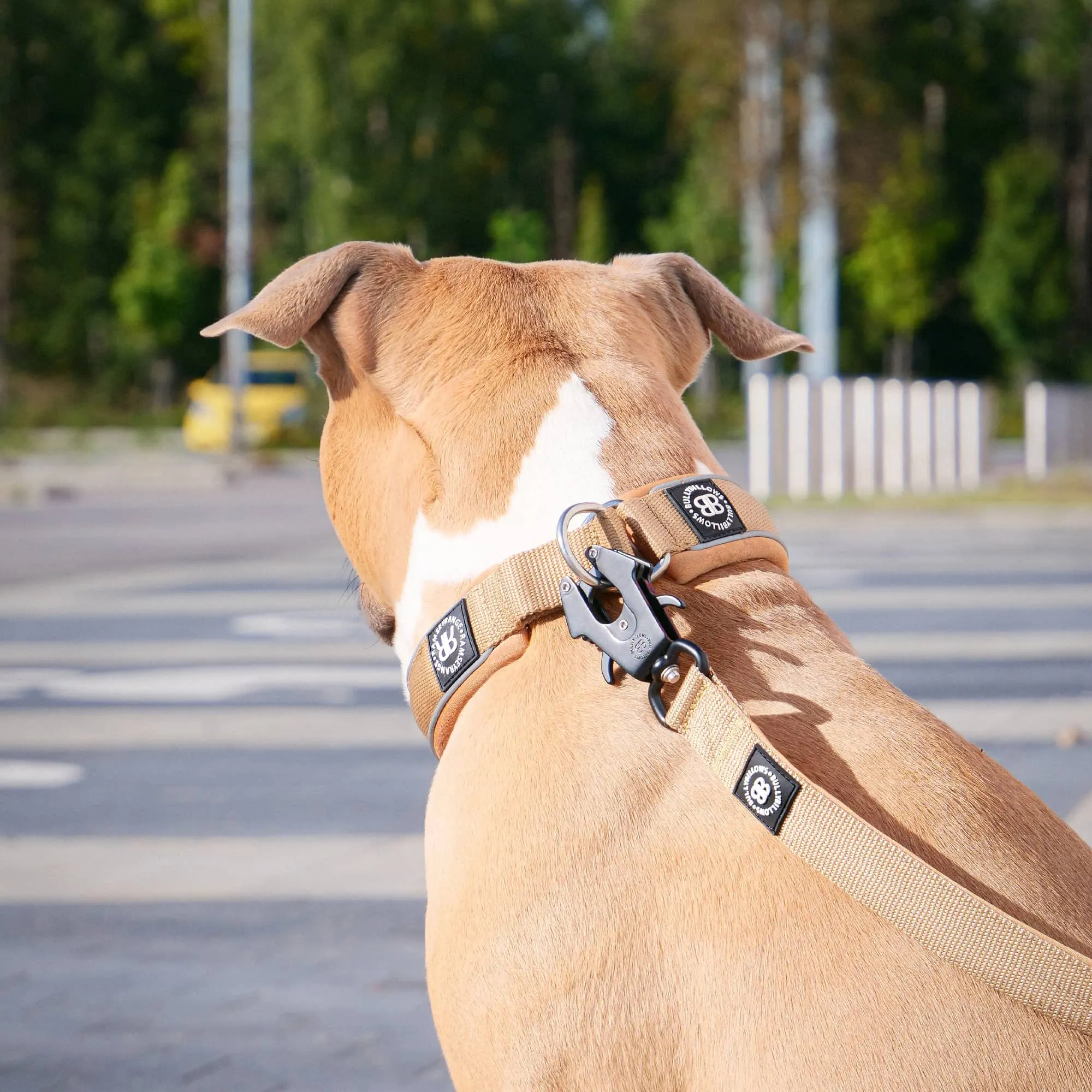 1.2m Mini Combat Lead | Secure Clasp - Metal Grey x Neon
