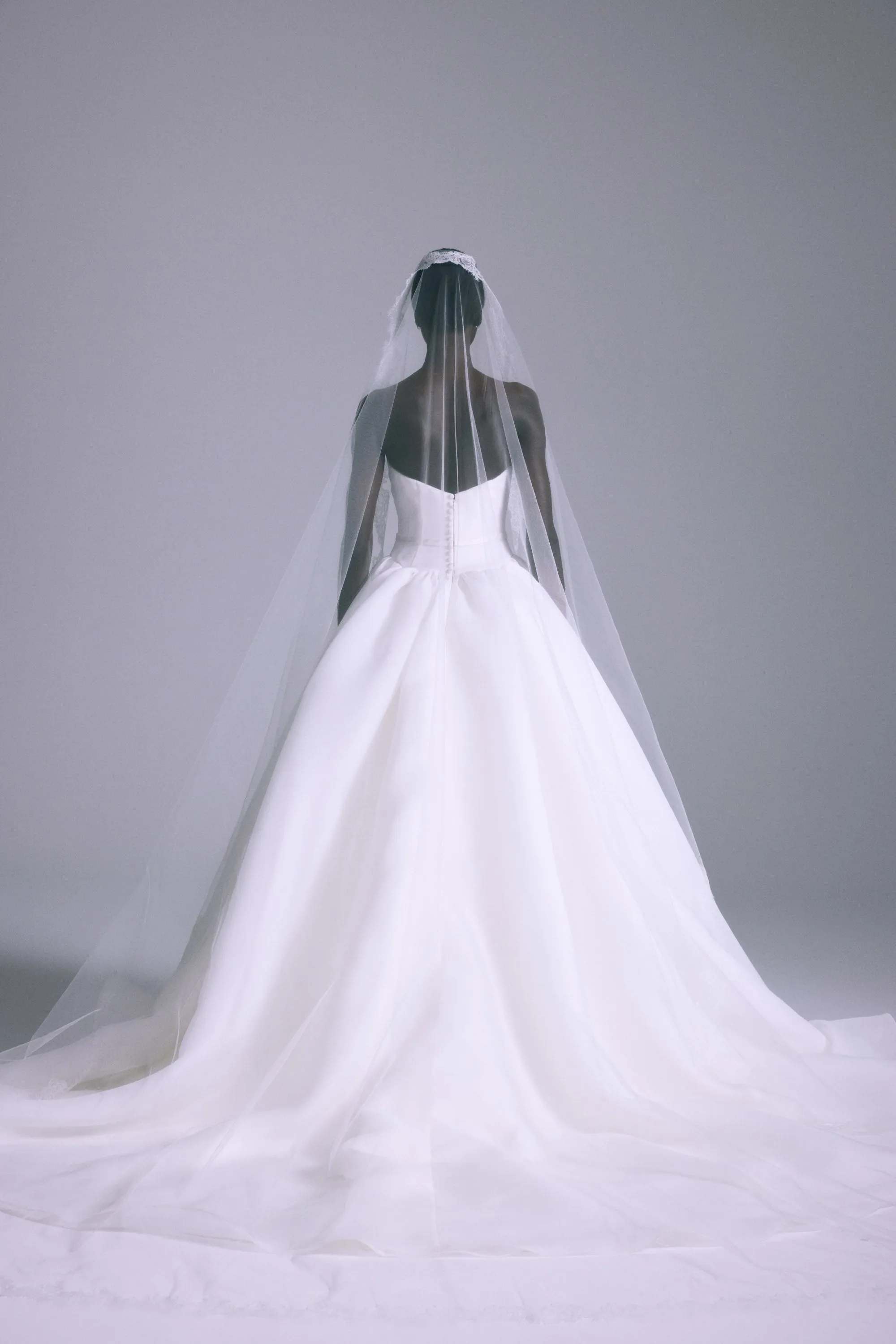 A868V - Veil