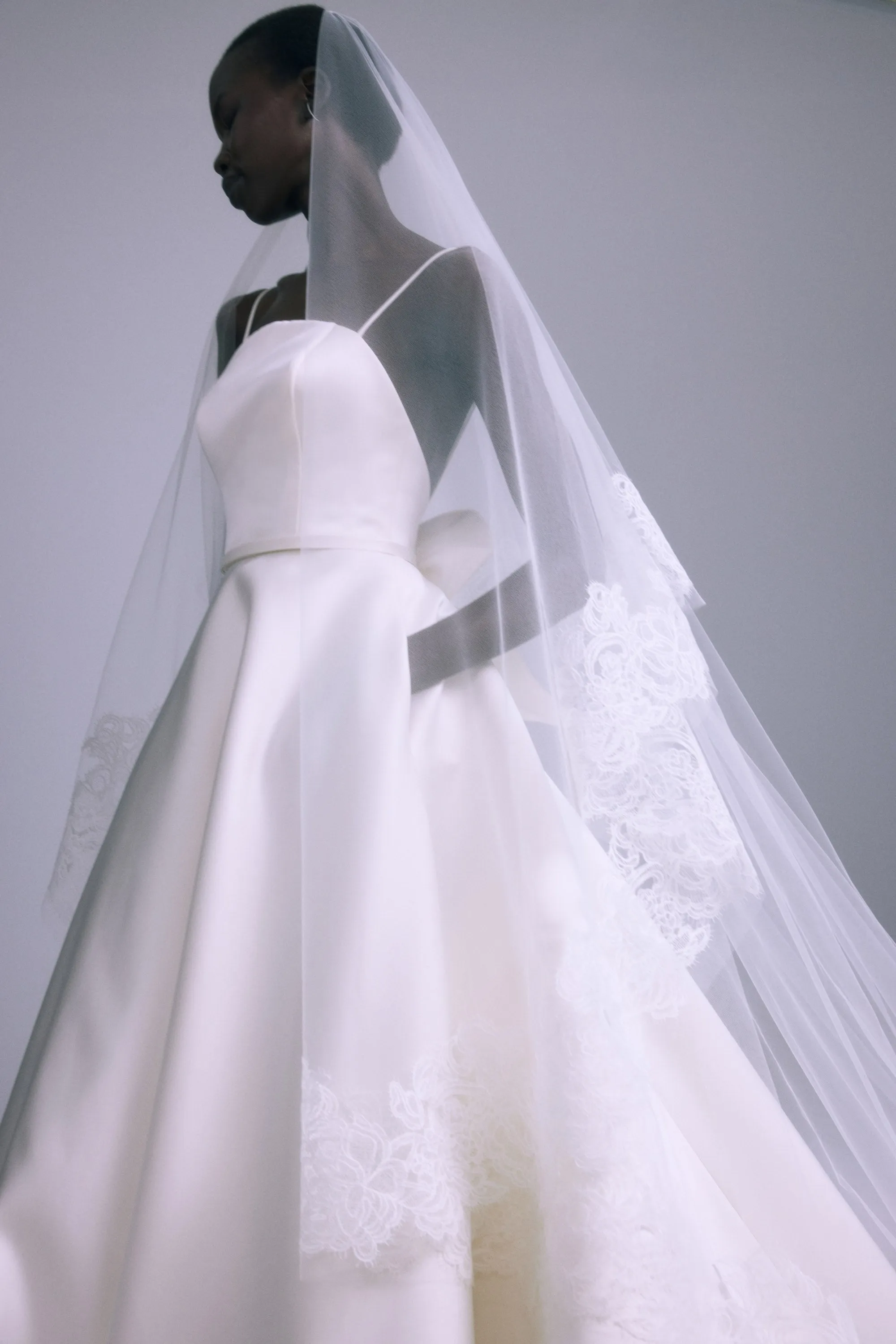 A871V - Veil