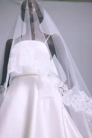 A871V - Veil A871V - Veil