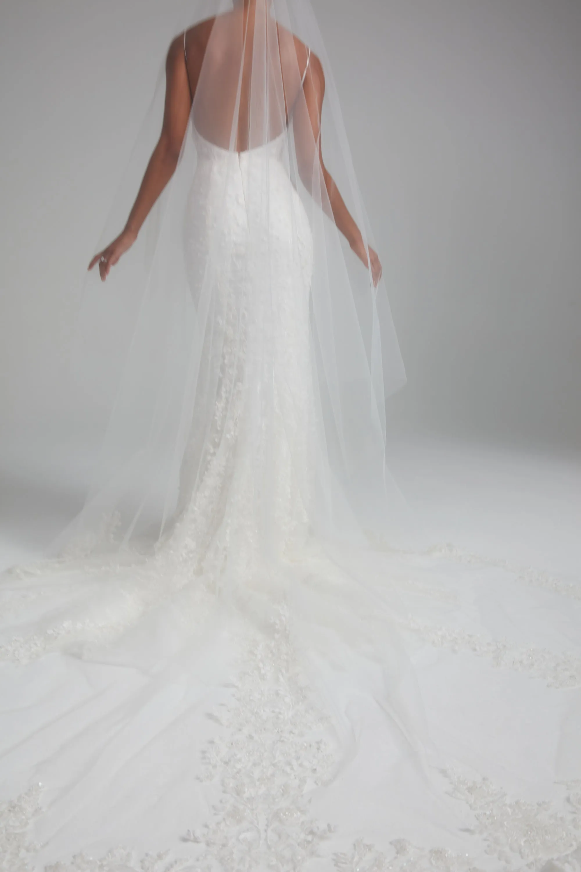 AVA846 - Embellished cathedral veil