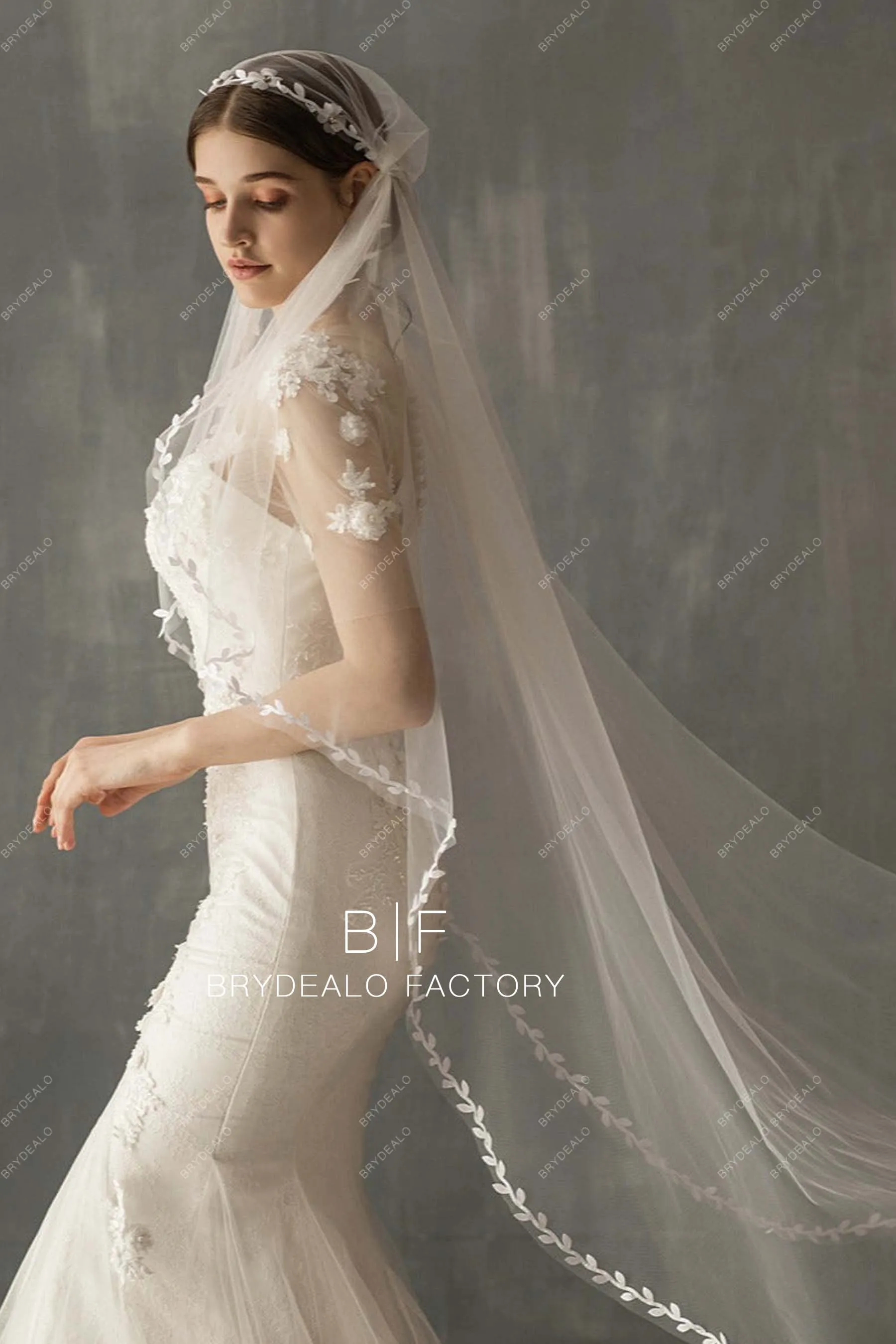 Classic Leaf Lace Trim Bridal Veil Ballet Length Wedding Cap Veil