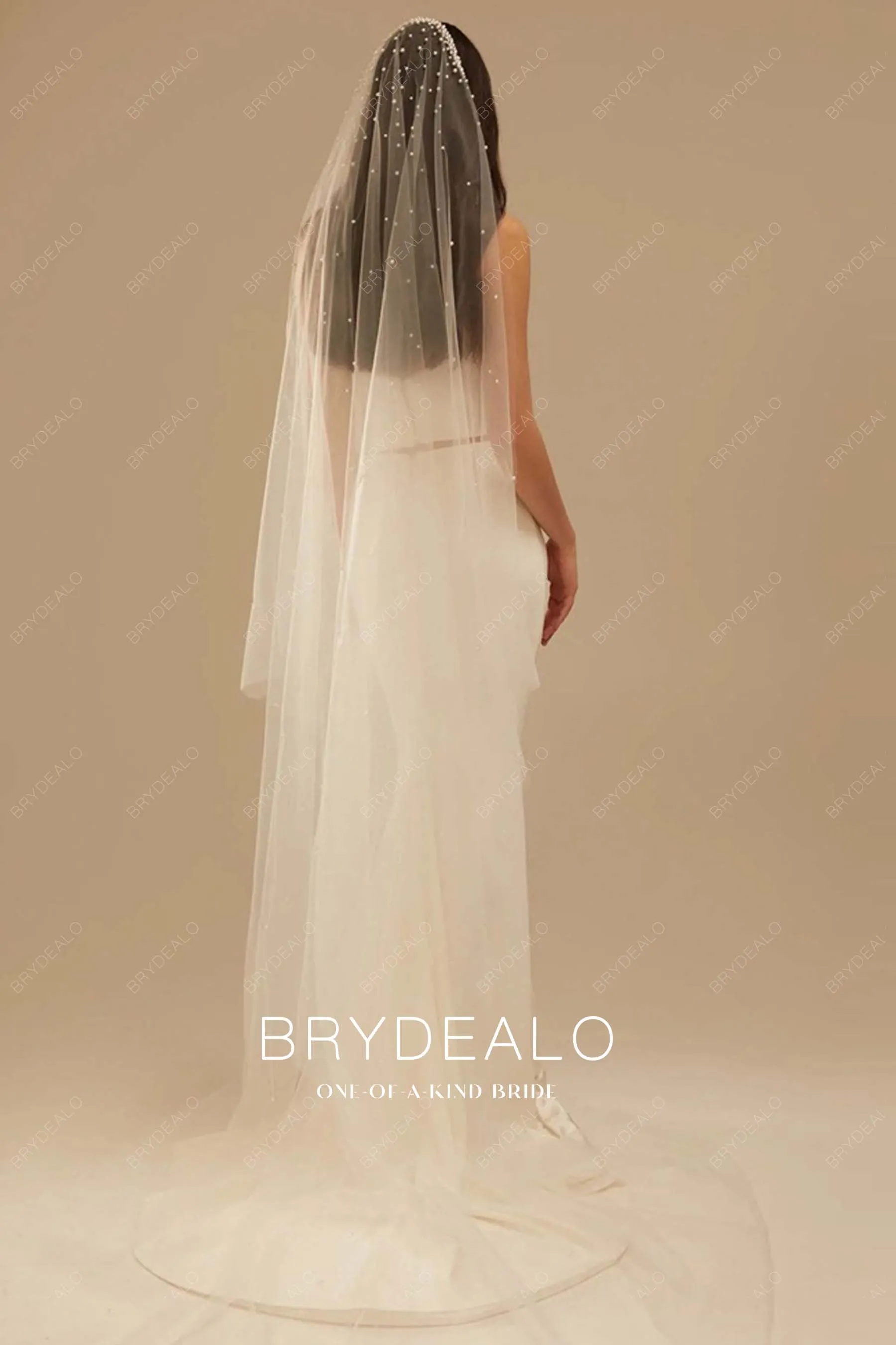 Delicate Pearls Elegant Cathedral Length Bridal Veil