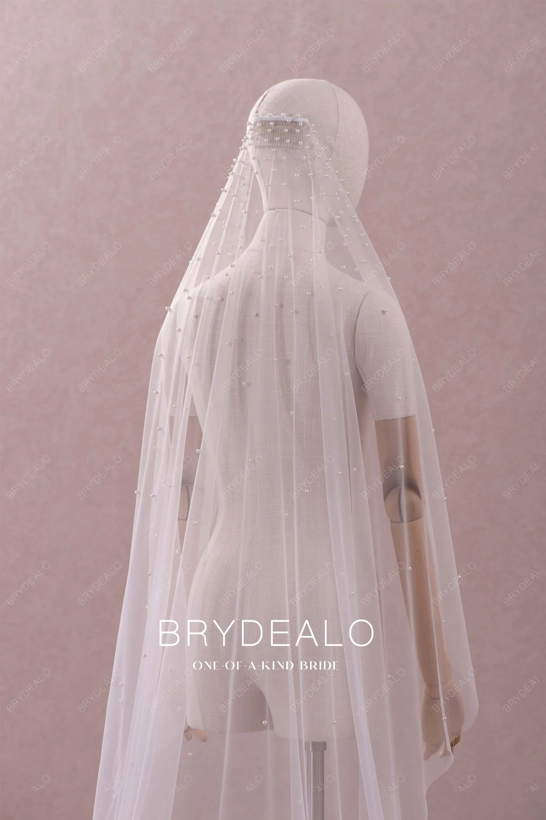 Delicate Pearls Elegant Cathedral Length Bridal Veil