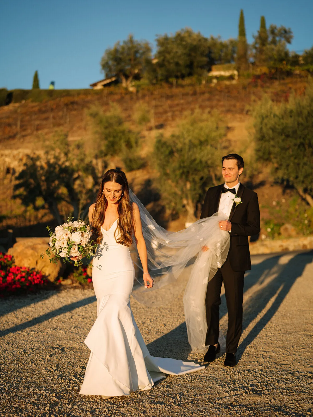 DREAM | Butterfly Veil