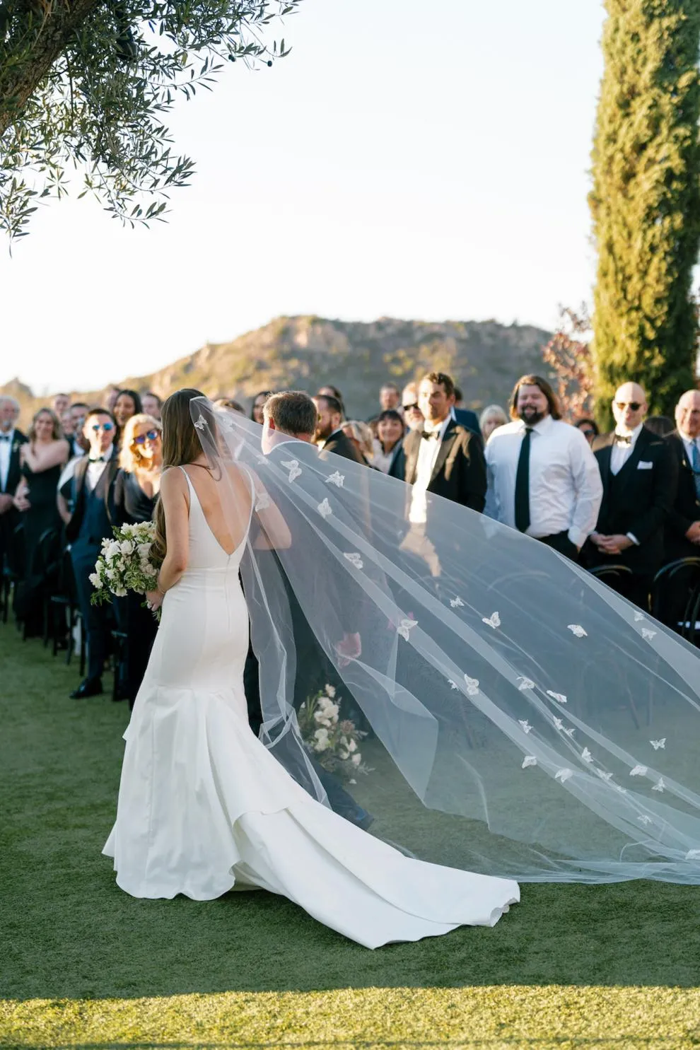 DREAM | Butterfly Veil