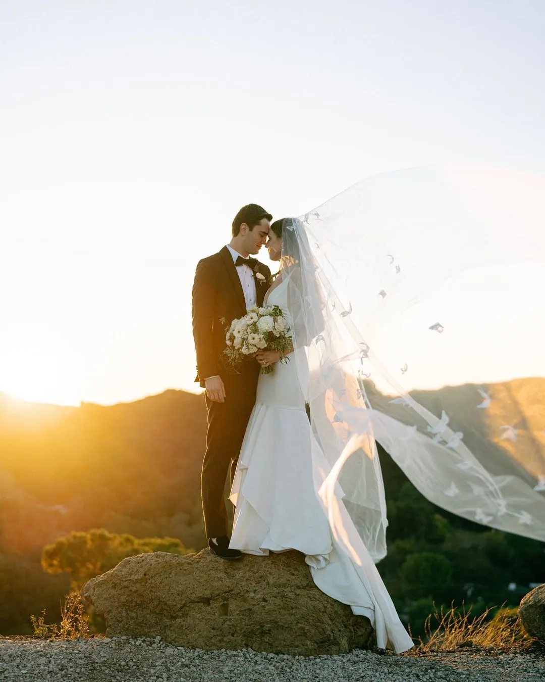 DREAM | Butterfly Veil