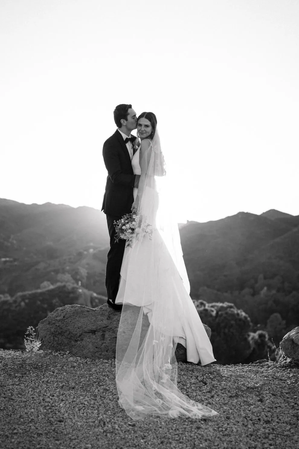 DREAM | Butterfly Veil