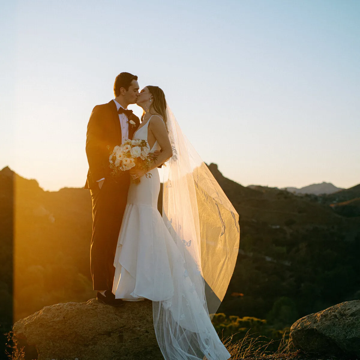DREAM | Butterfly Veil