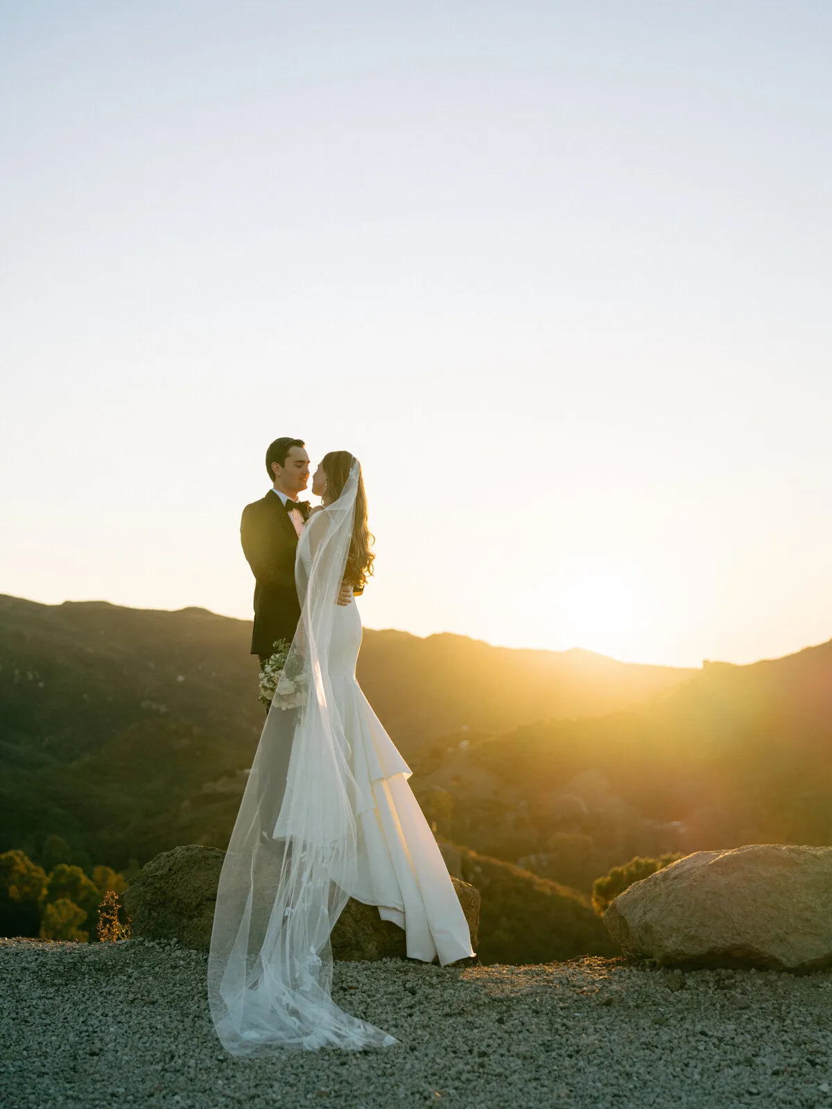 DREAM | Butterfly Veil