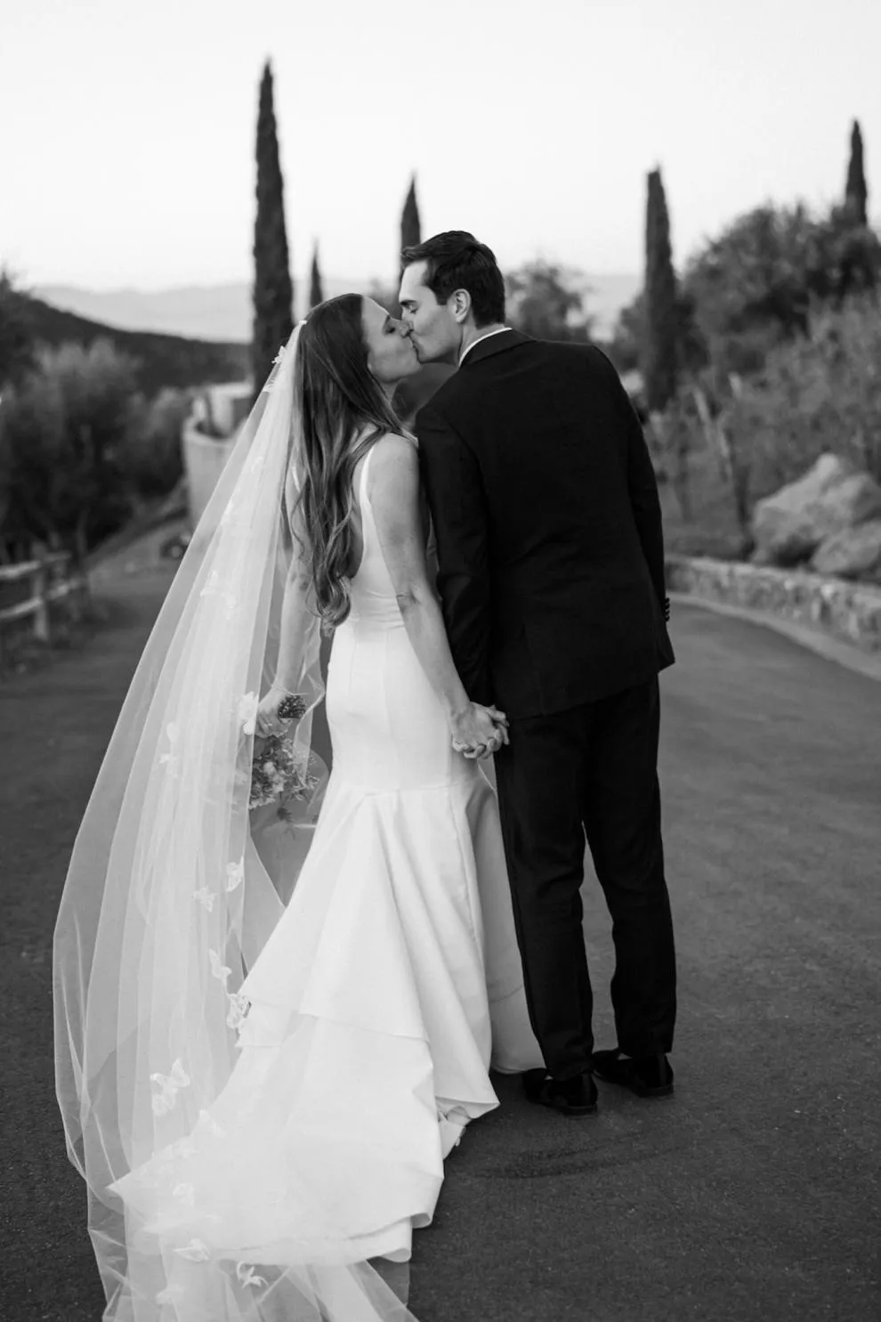 DREAM | Butterfly Veil