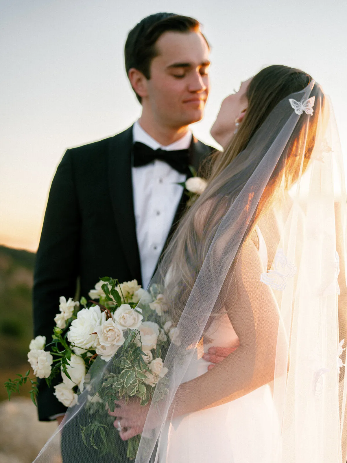 DREAM | Butterfly Veil