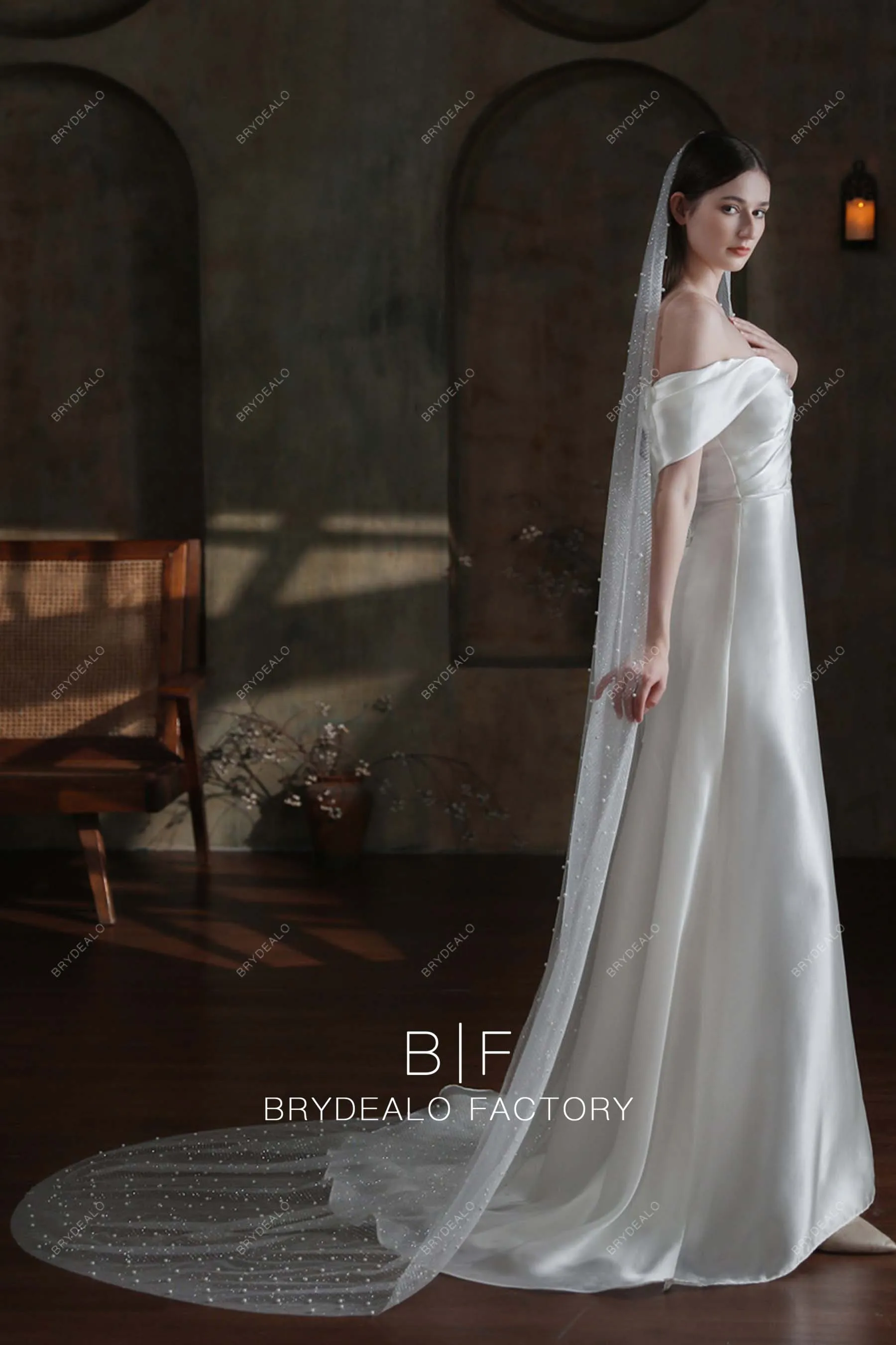 Elegant Allover Pearls Silver Glitter Chapel Length Bridal Veil