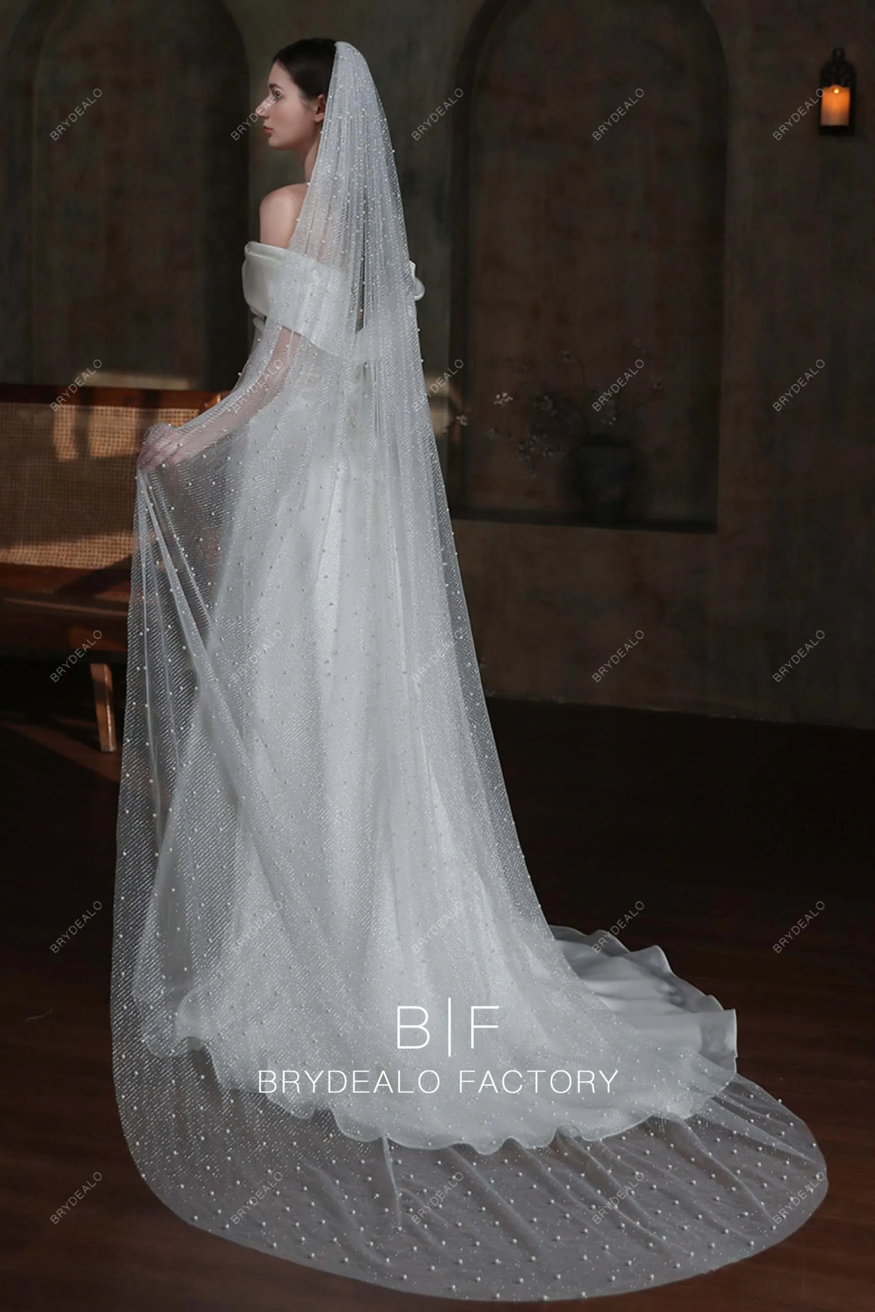 Elegant Allover Pearls Silver Glitter Chapel Length Bridal Veil