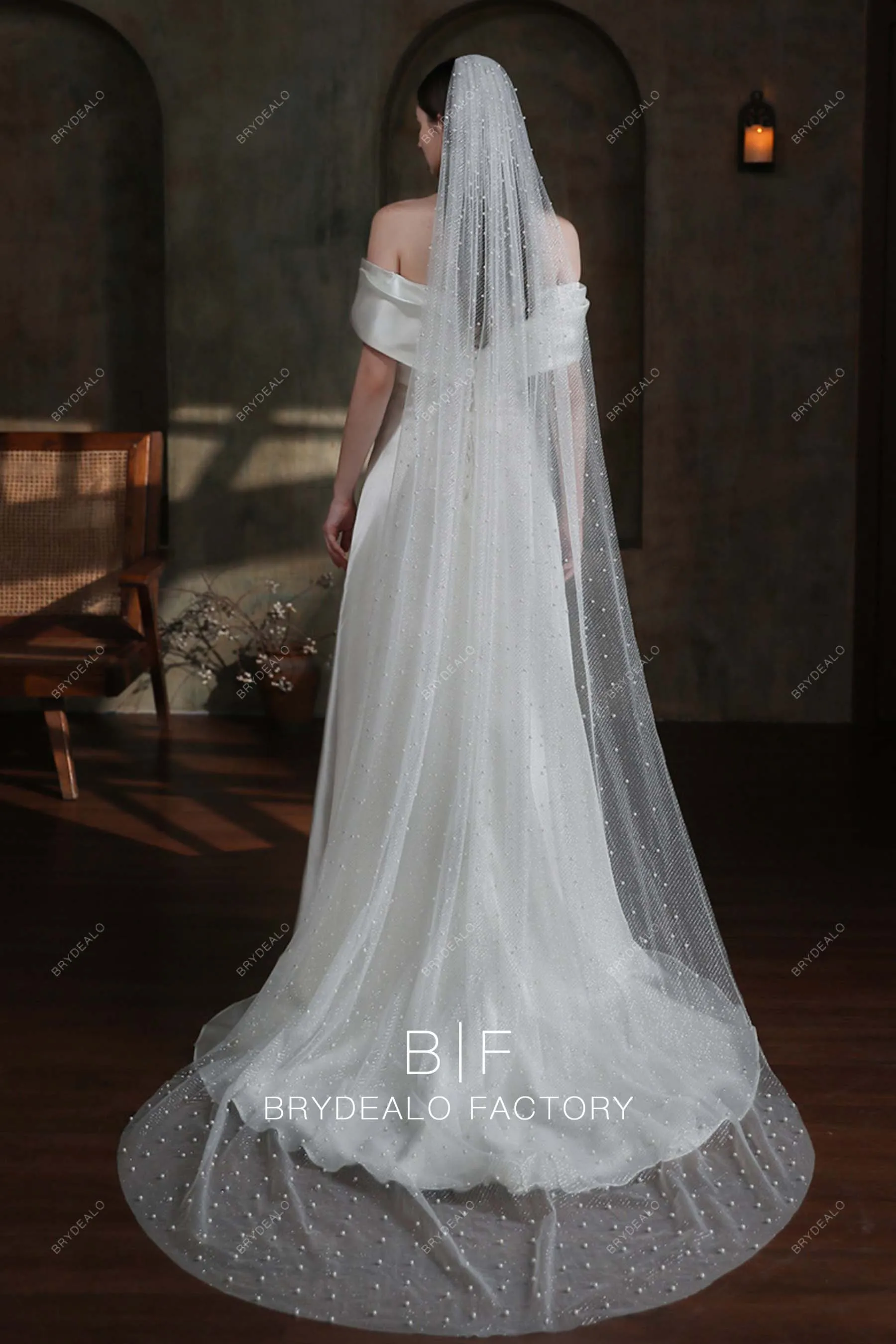 Elegant Allover Pearls Silver Glitter Chapel Length Bridal Veil