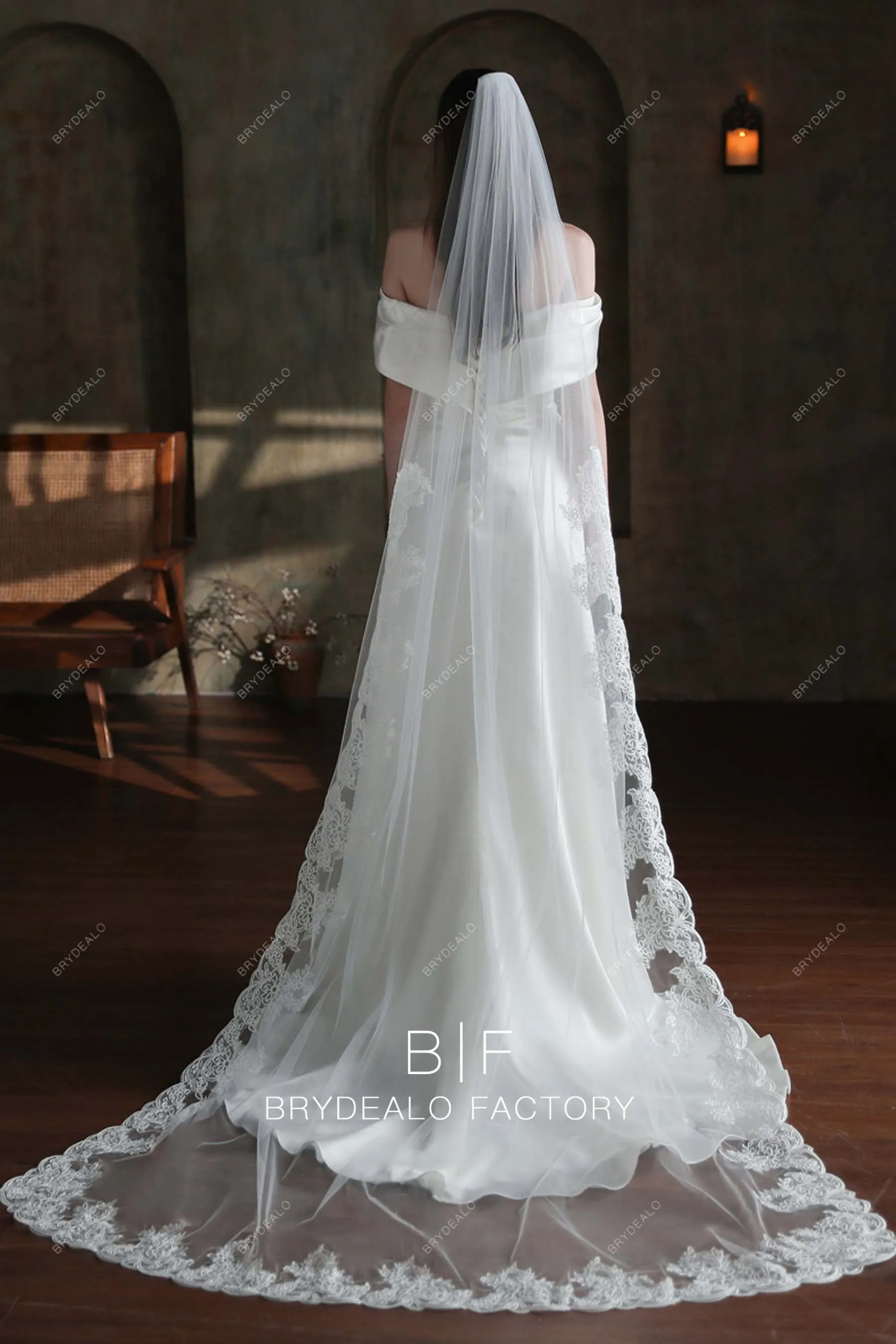 Gorgeous Lace Edging One Tier Chapel Length Wedding Veil