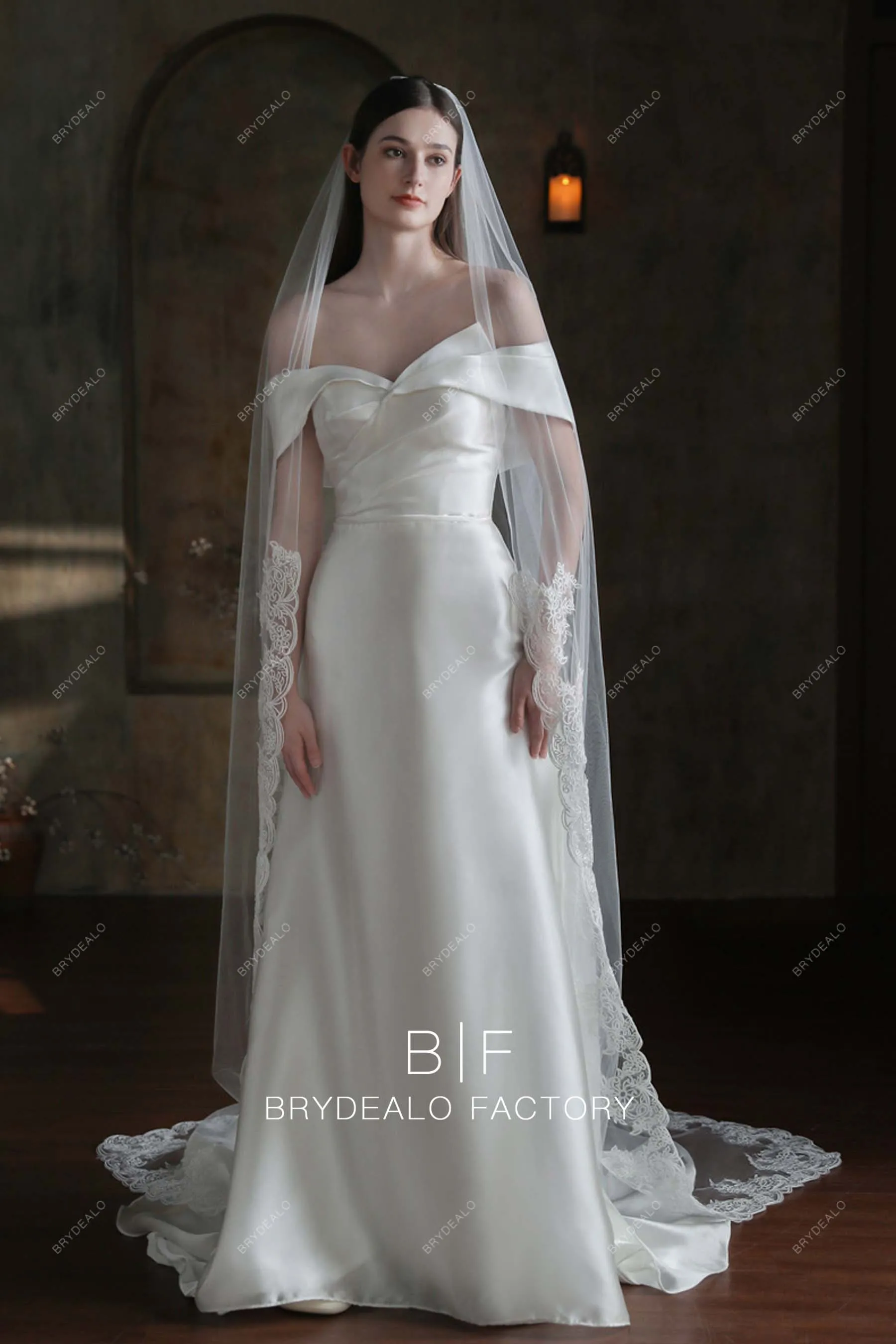 Gorgeous Lace Edging One Tier Chapel Length Wedding Veil