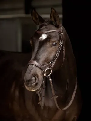 LeMieux Arika Drop Bridle
