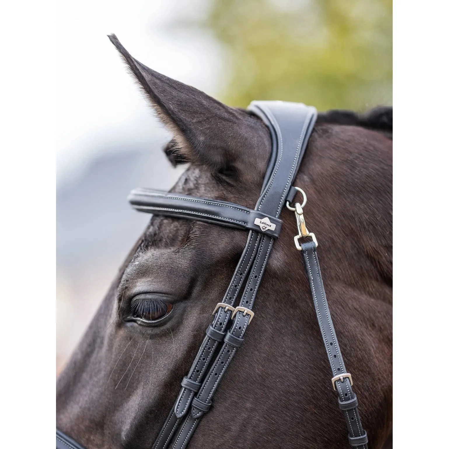 LeMieux Kudos Work Bridle