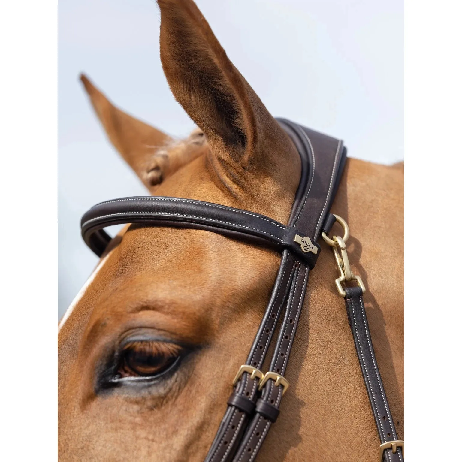 LeMieux Kudos Work Bridle