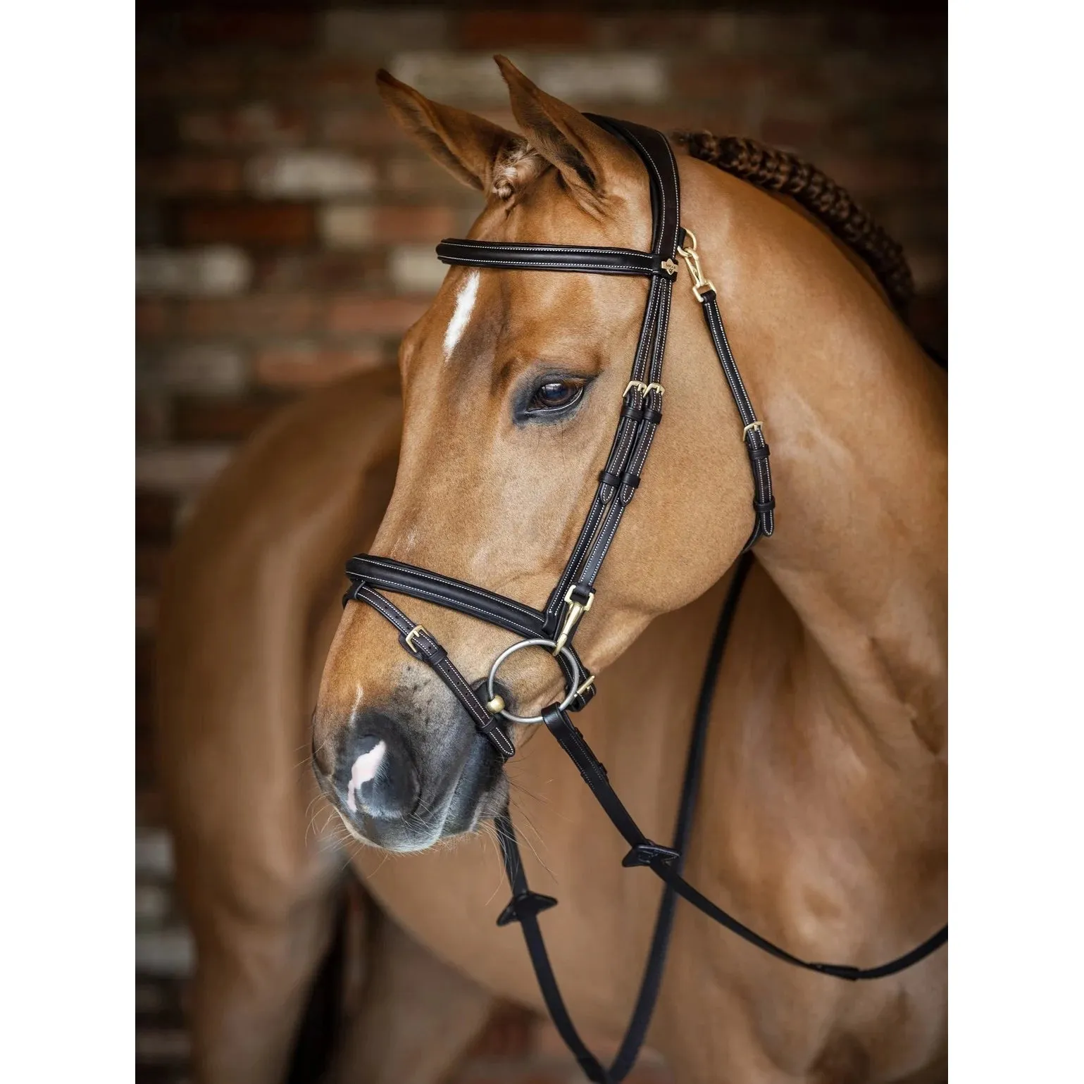 LeMieux Kudos Work Bridle