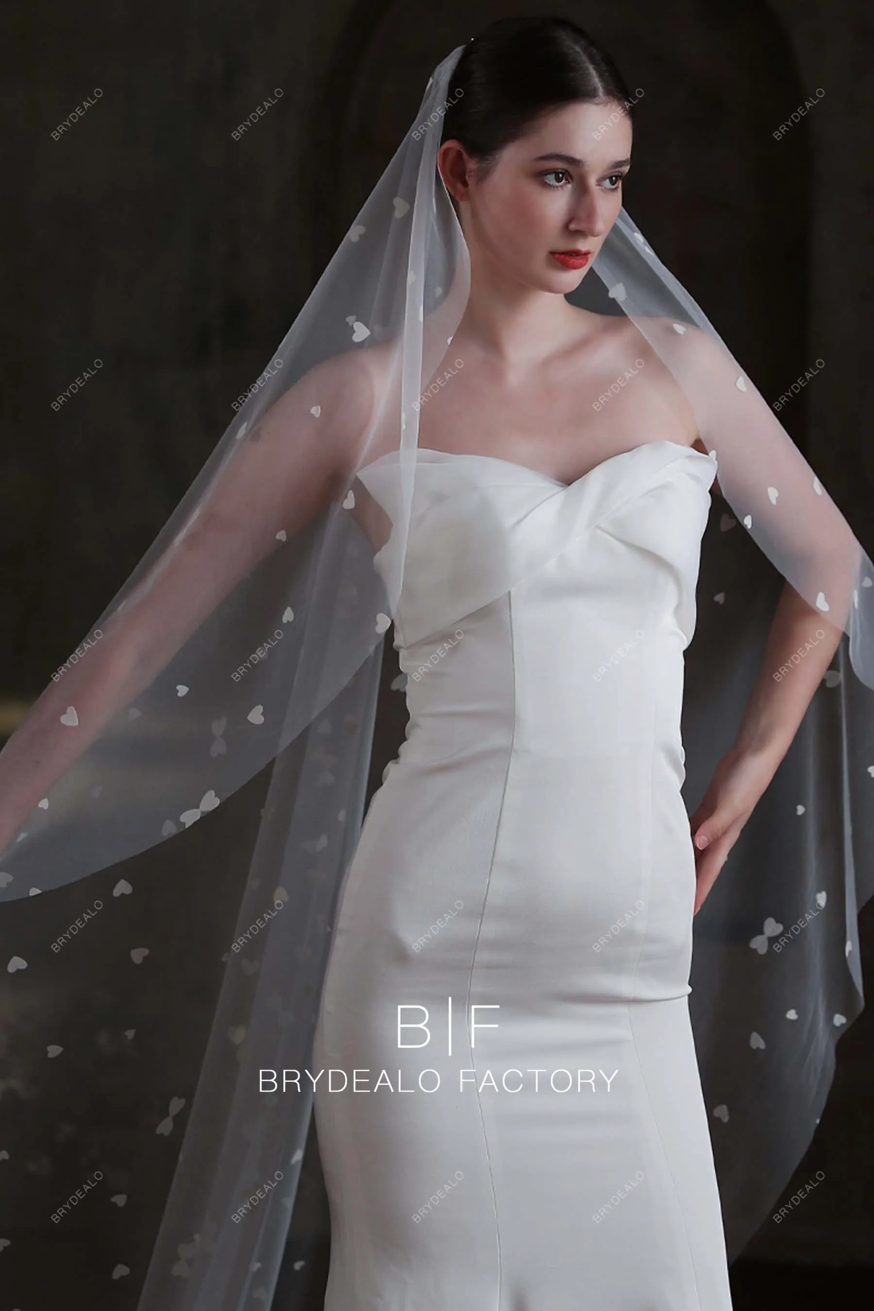Romantic Heart-shaped Accent Cathedral Length Bridal Veil