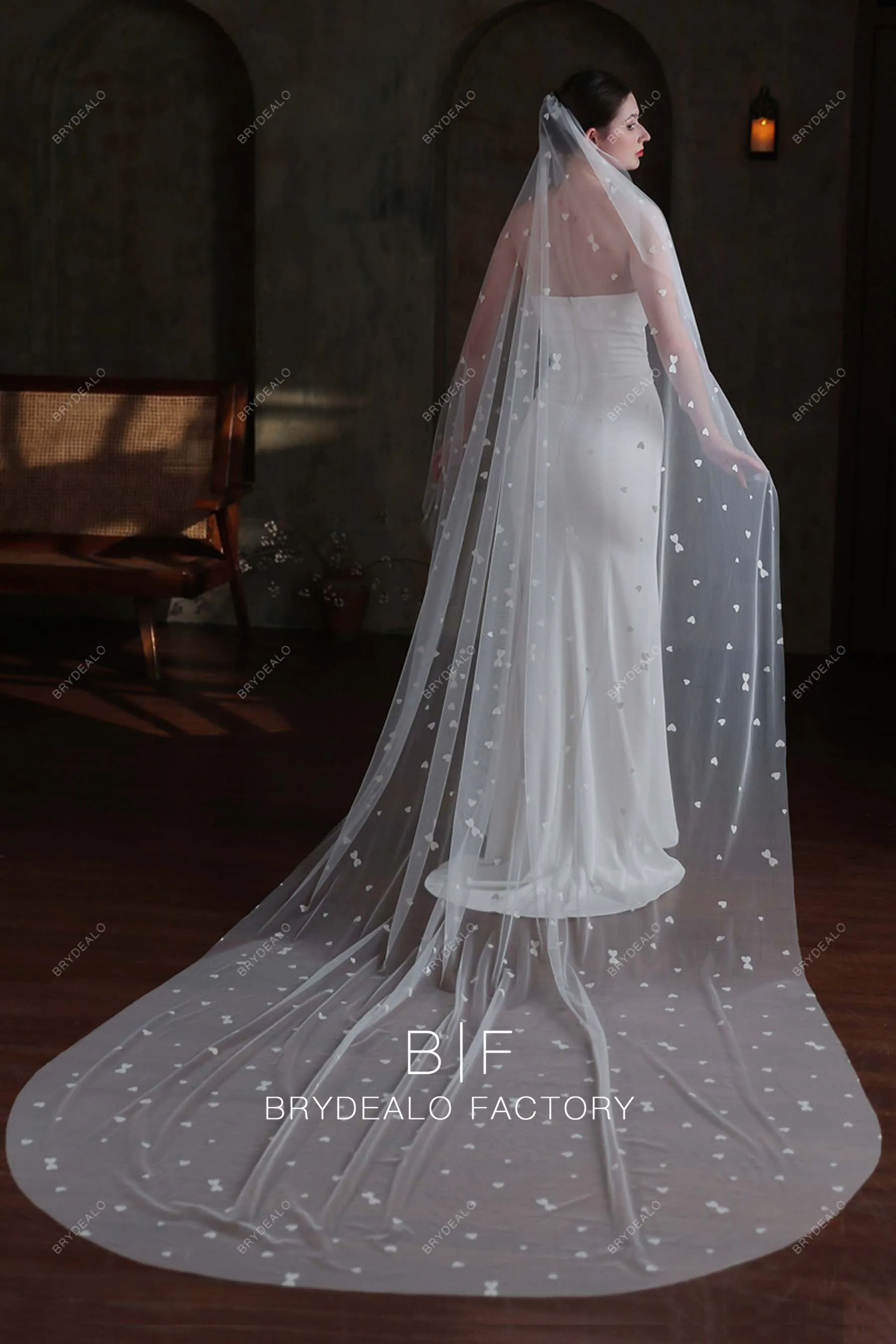 Romantic Heart-shaped Accent Cathedral Length Bridal Veil
