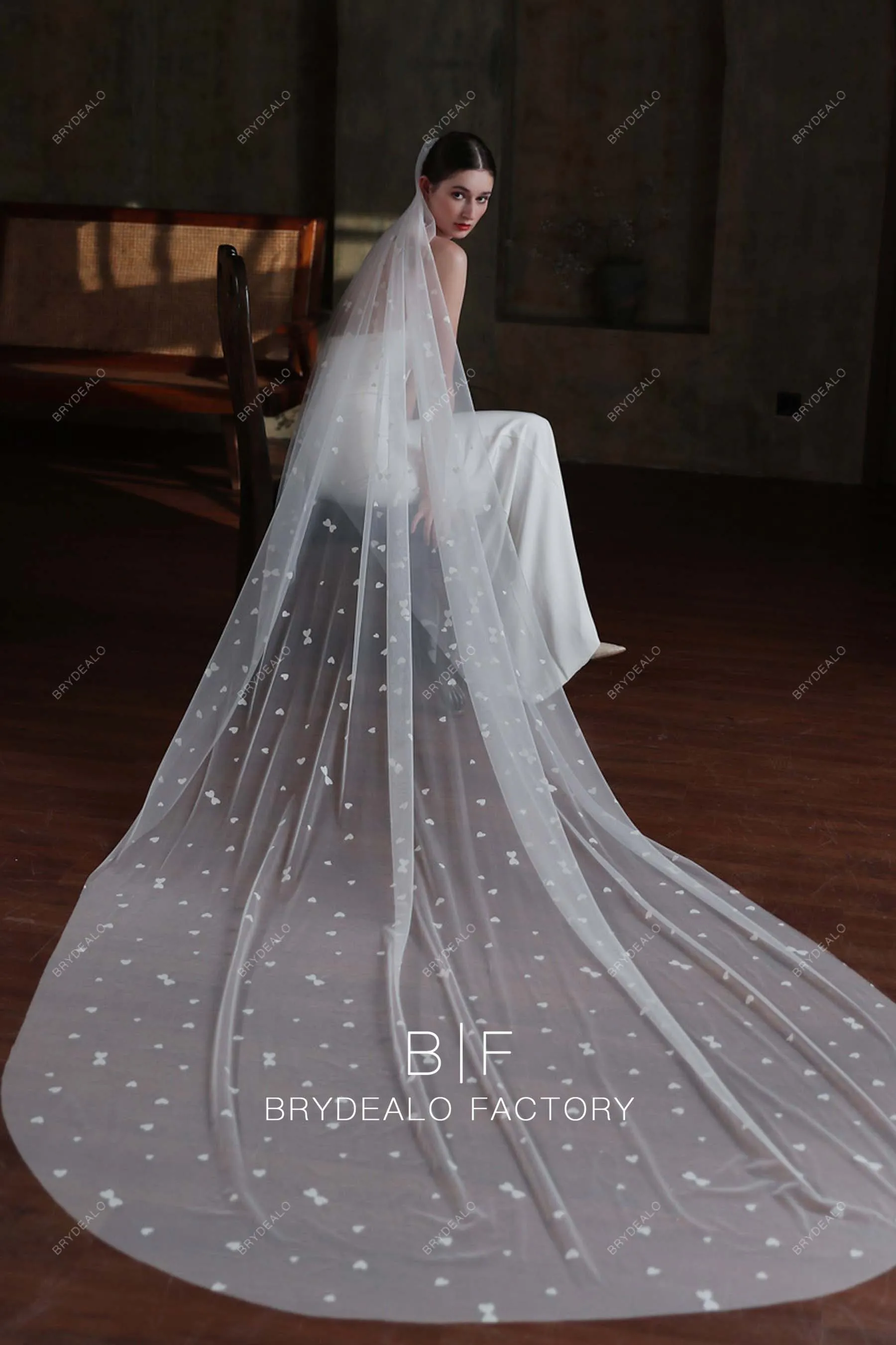 Romantic Heart-shaped Accent Cathedral Length Bridal Veil