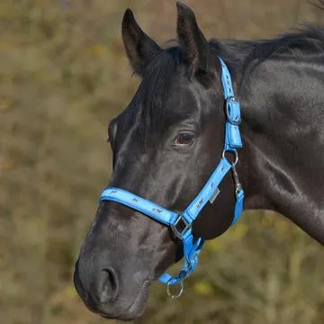 Waldhausen Little Horses Halter